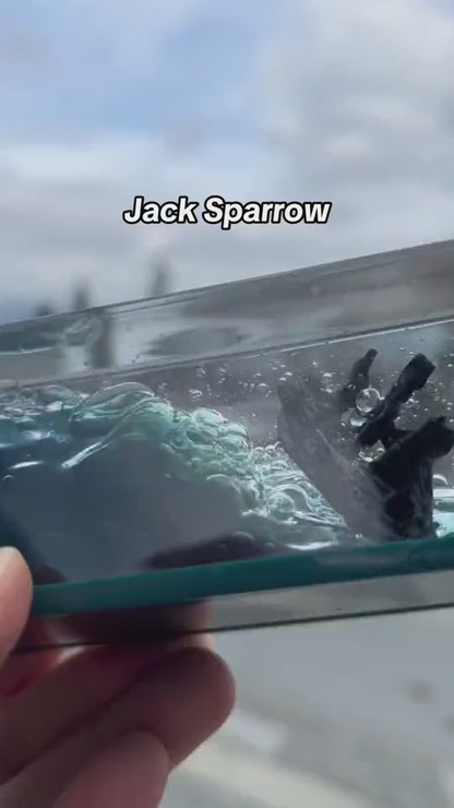 1.mp4